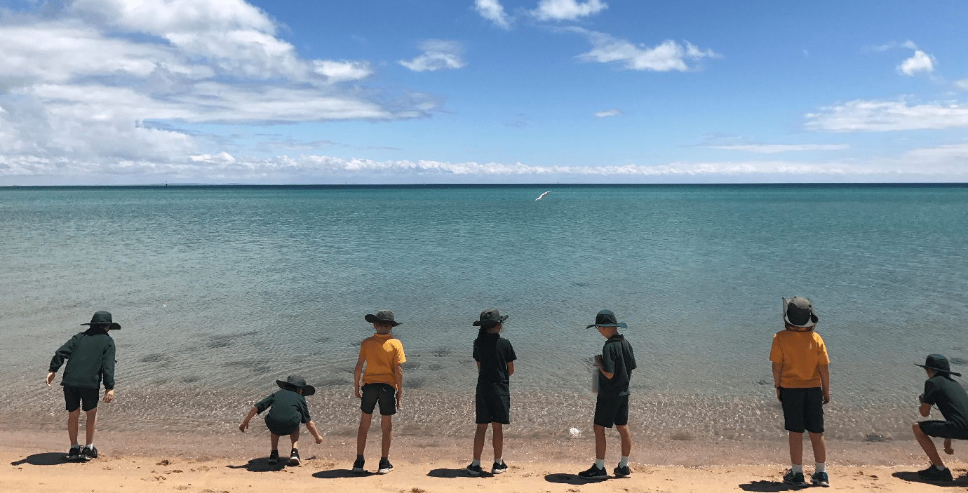 Our Vision Dromana Primary School